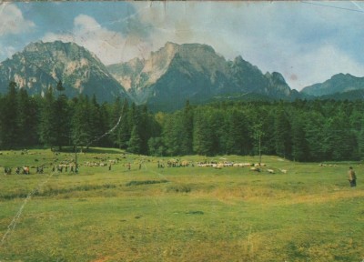 CPI B 11555 CARTE POSTALA - BUSTENI. MUNTII BUCEGI foto