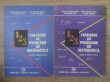 CULEGERE DE PROBLEME DE MATEMATICA PENTRU CLASA A X-A VOL.1-2-MARIA BATINETU-GIURGIU, D.M. BATINETU-GIURGIU-349172
