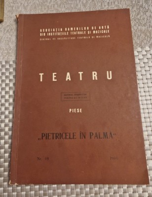 Teatru Pietricele in palma Afanasii Salinski foto