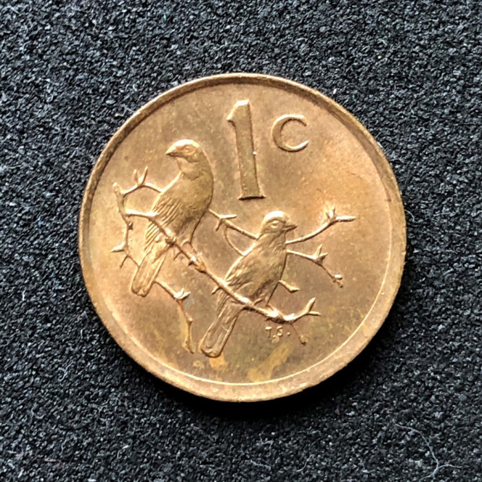 x571 Africa de Sud 1 cent 1984