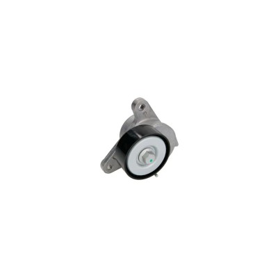 Intinzator curea AUDI A4 Avant 8W5 B9 DAYCO APV3208 foto