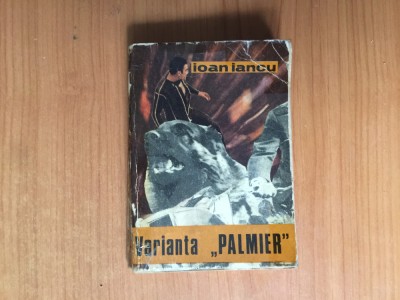 n8 Varianta &amp;quot;Palmier&amp;quot; - Ioan Iancu foto