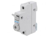 Separator cu Fuzibil 10x38mm pentru Șină DIN 20A 400V Poli 1
