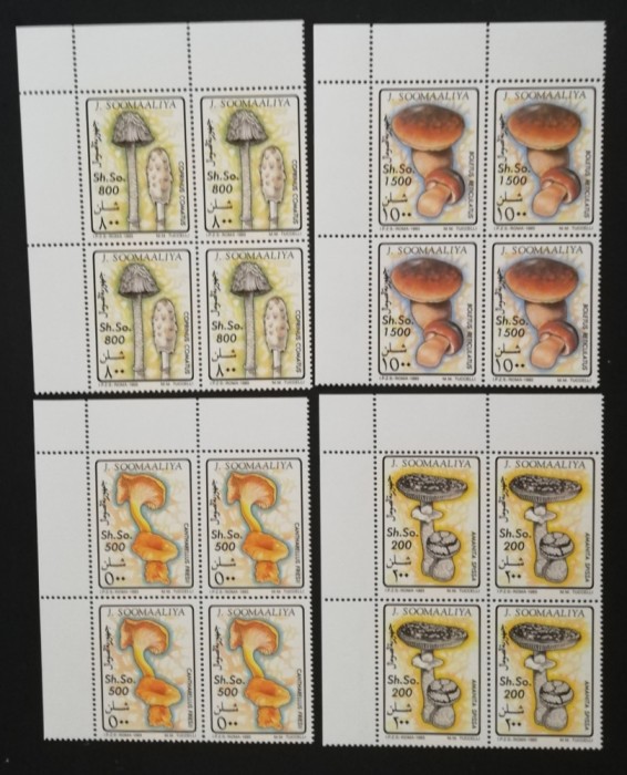 SOMALIA-1993-CIUPERCI-Serie 4 V.In BLOC de 4.MNH**SOM 107A