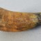 Recipient pentru sare din corn de vita Transilvania 1853