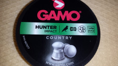 600 ALICE PELETE CAPSE 6.35 MM (25 ) GAMO HUNTER IMPACT COUNTRY foto