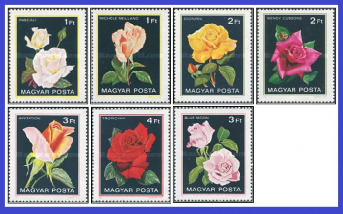 Ungaria 1982 - trandafiri, serie neuzata