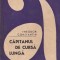 Theodor Constantin - Capitanul de cursa lunga