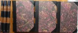 Archibald, Porcii, impresii din timpul ocupatiei, 1921 - 1923, 3 volume