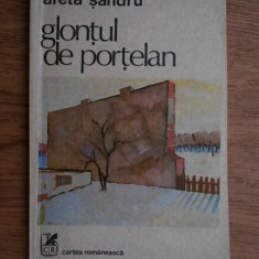 Areta Sandru - Glontul de portelan