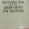 REVOLUTIA DE LA 1848 1849 IN BANAT I. D. Suciu
