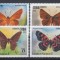 Cuba 2013 - FLUTURI - MNH