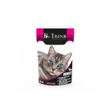 Dr.Trend Premium Hrana umeda pisici cu rata, 12x0,085g