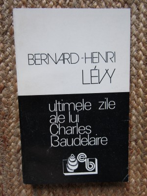 Ultimele zile ale lui Charles Baudelaire &amp;ndash; Bernard-Henri Levy foto
