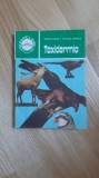 Eugen Pastea , Nicolae Cornila - Taxidermia . Impaierea si naturalizarea pasarilor si mamiferelor (1987) vanatoare taxidermie trofee animalelor trofeu