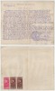 Romania, Judecatoria de ocol, Deciziune (II), Sannicolaul Mare, 1930