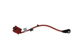 Borna cablu baterie BMW 6 Coupe F13 2012 OEM: 9217036 21263706