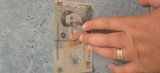 Bancnote Ecaterina teodoroiu