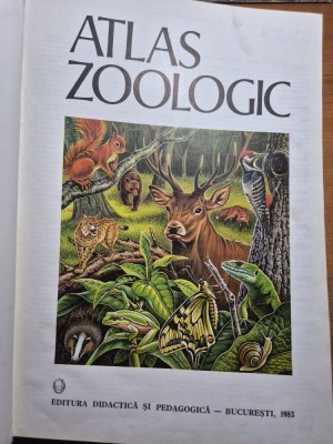 atlas zoologic din anul 1983 - format mare ,coperti cartonate foto