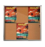 Avizier pluta Premium cu rama aluminiu 6*A4 (6 documente A4), 68x65 cm, Premium (7 ani garantie)