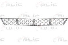 Grila ventilatie, bara protectie MERCEDES E-CLASS (W211) (2002 - 2009) BLIC 6502-07-3528910P