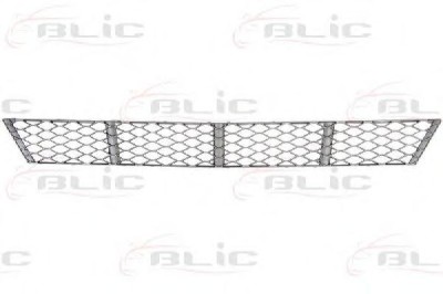 Grila ventilatie, bara protectie MERCEDES E-CLASS T-Model (S211) (2003 - 2009) BLIC 6502-07-3528910P foto