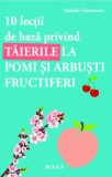 10 lectii de baza privind taierile la pomi si arbusti fructiferi