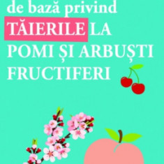 10 lectii de baza privind taierile la pomi si arbusti fructiferi