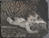1912 foto Emil Cioran la aprox 1 an / foto mare, carton gros / 20 x 16 cm