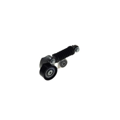 Intinzator curea RENAULT SC&amp;iuml;&amp;iquest;&amp;frac12;NIC I JA0 1 DAYCO APV2266 foto