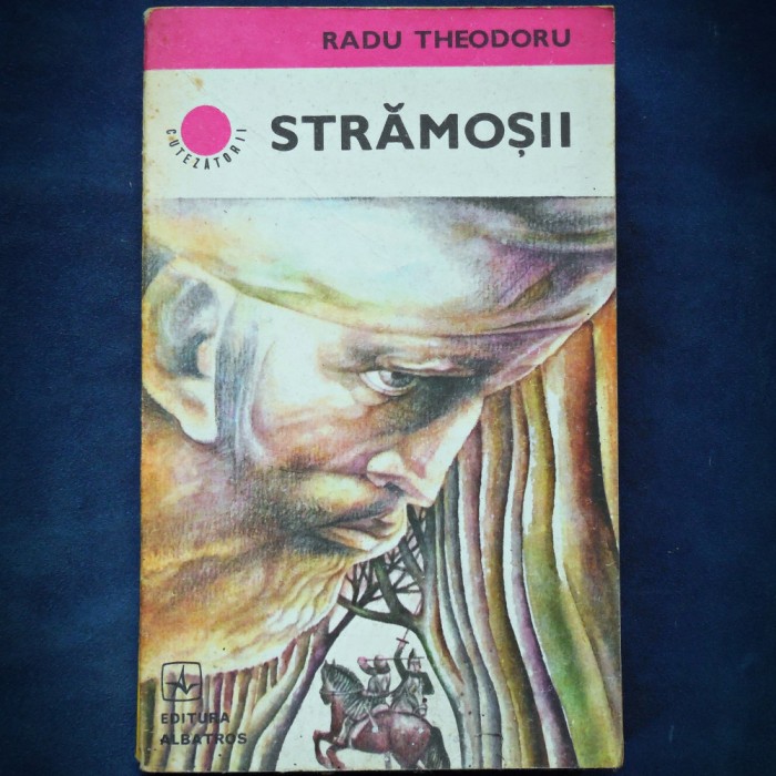 STRAMOSII - RADU THODORU