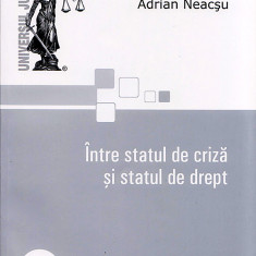 Intre statul de criza si statul de drept | Adrian Neacsu