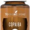 Ulei Esential Copaiba