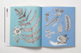 Yuko Higuchi&#039;s Magical Colouring Museum | Yuko Higuchi, Laurence King Publishing