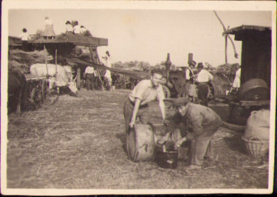 HST M346 Poză la treierat 1951 sat Fulga Buzău foto