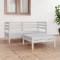 vidaXL Set mobilier de grădină, 3 piese, alb, lemn masiv de pin 3082393
