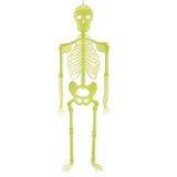 Schelet Decorativ Fosforescent Halloween, 31 cm, Decoratiune Perete
