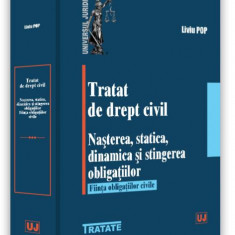 Tratat de drept civil. Nașterea, statică, dinamică și stingerea obligațiilor. Ființa obligațiilor civile - Paperback brosat - Liviu Pop - Universul Ju