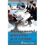 Managementul proiectelor prin exemple - Tannguy Le Dantec