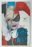 HARLEY QUINN , MAD LOVE by PAUL DINI and PAT CADIGAN , A BATMAN NOVEL , 2019