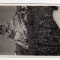 MUNTII GIURGEULUI PIATRA ALTARULUI IARNA FOTO SANTHA NR 72