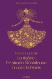 La tiganci. Pe strada Mantuleasa. In curte la Dionis - Mircea Eliade