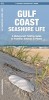 Gulf Coast Seashore Life: A Waterproof Folding Guide to Familiar Animals &amp; Plants