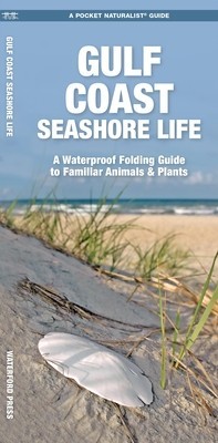 Gulf Coast Seashore Life: A Waterproof Folding Guide to Familiar Animals &amp; Plants