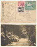 Posta locala Paltinis ilustrata Hohe Rinne din 1926 cu timbru local 50 bani 1924, Stampilat