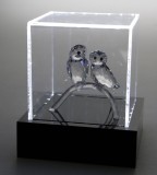 Cub acrilic iluminat LED, Light Cube, pentru prezentare
