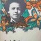 JUCARII PENTRU LILY-IONEL TEODOREANU-222984