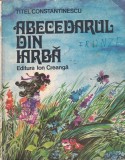 Titel Constantinescu - Abecedarul din iarba. Cu ilustratii de Octavia Taralunga