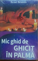 Rene Brunin - Mic ghid de ghicit in palma