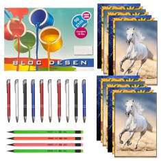 Pachet rechizite scolare pentru gimnaziu/liceu, 29 de piese